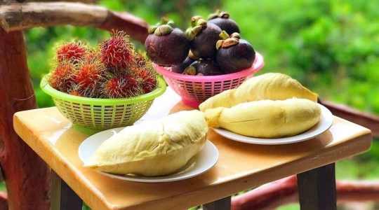 SUAN
